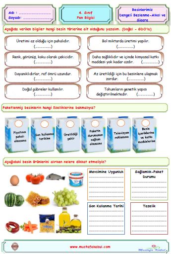 4 Sinif Fen Bilgisi Besinlerimiz