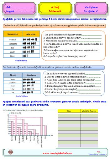 4.Sınıf Matematik Veri Okuma-Veri İşleme-Grafikler