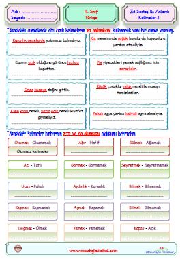   4.Sınıf Zıt Anlamlı Eş Anlamlı Sesteş Kelimeler Test