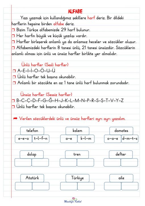   2.Sınıf 1.Hafta Defter Özetleri ve Defter Notları