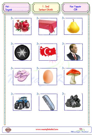  1.Sınıf Serbest Etkinlik Kes Yapıştır