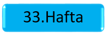   1.Sınıf 33.Hafta Sonu Ödevi