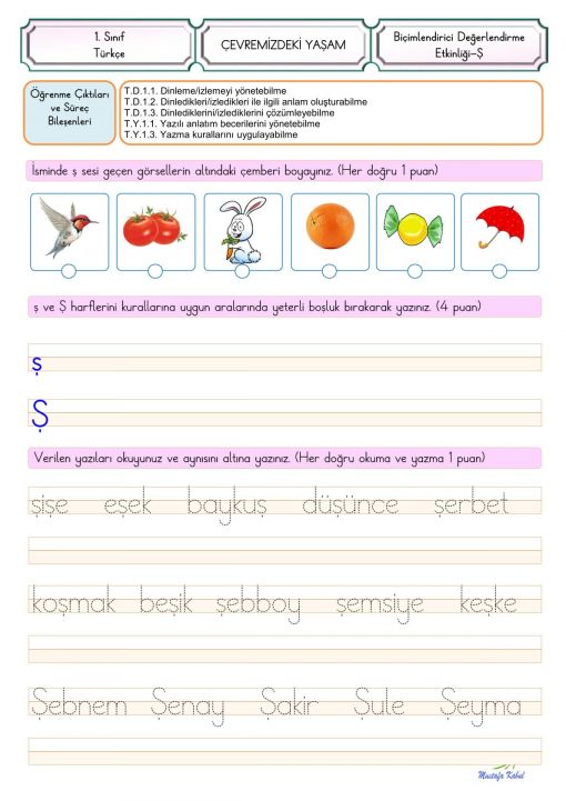   Ş Harfi Süreç Değerlendirme