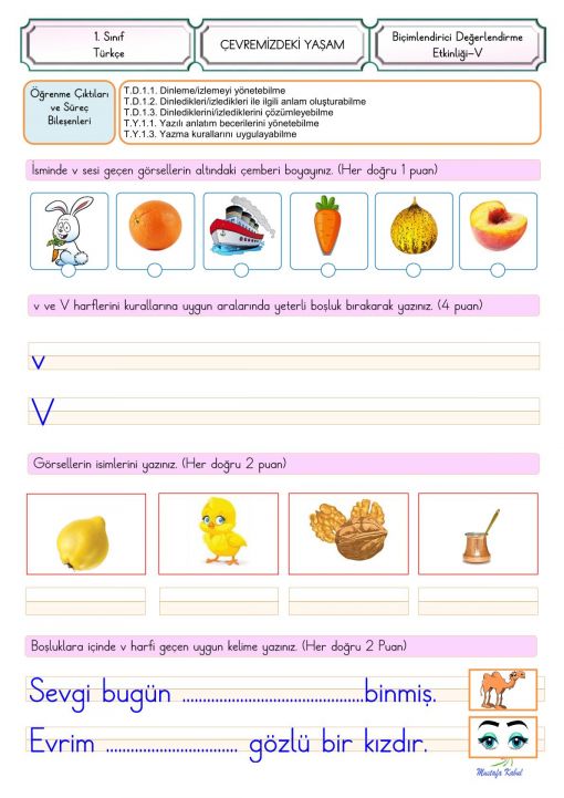 V Harfi Süreç Değerlendirme