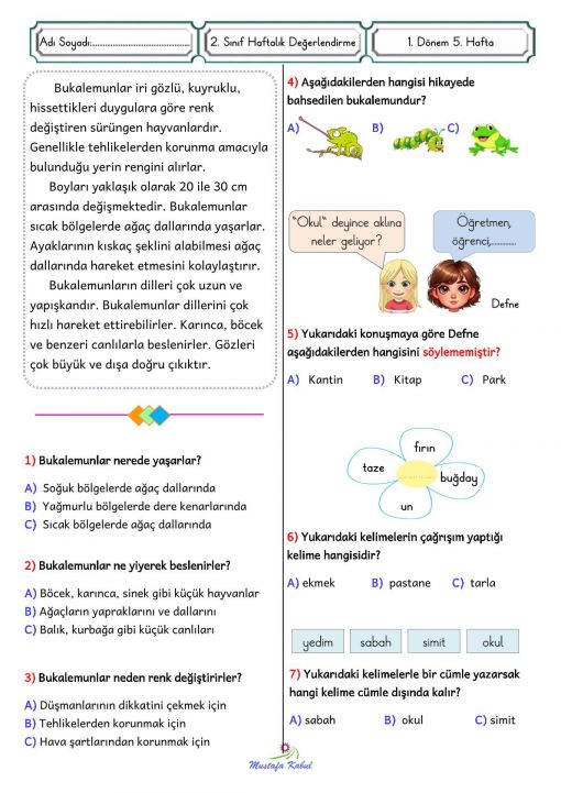   2.Sınıf Haftalık Süreç Değerlendirme 5.Hafta