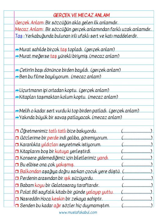 3.Sınıf Haftalık Defter Notları ve Konu Özetleri