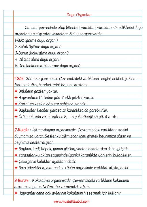 3.Sınıf Haftalık Defter Notları ve Konu Özetleri