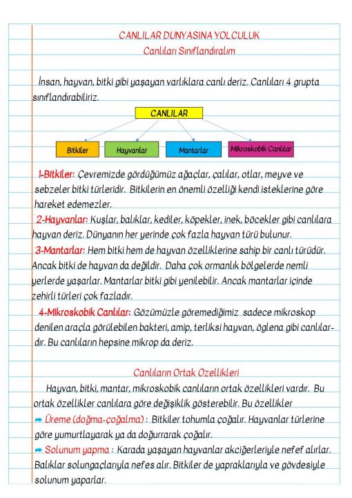  3.Sınıf Canlıların Sınıflandırılması Defter Notu