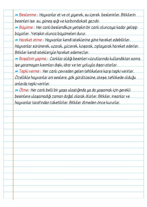 3.Sınıf Canlıların Sınıflandırılması Defter Notu 3.Sınıf Canlıların Sınıflandırılması Defter Notu