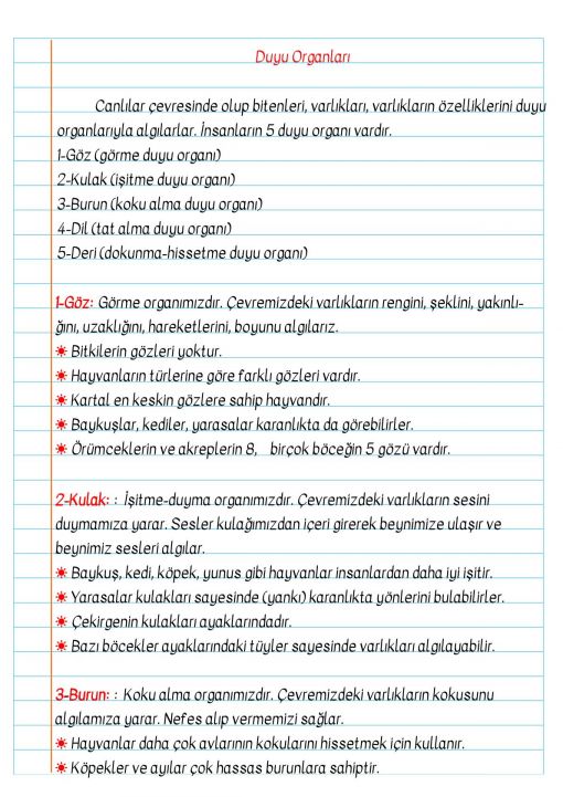  3.Sınıf Duyu Organların İşlevleri Defter Notu