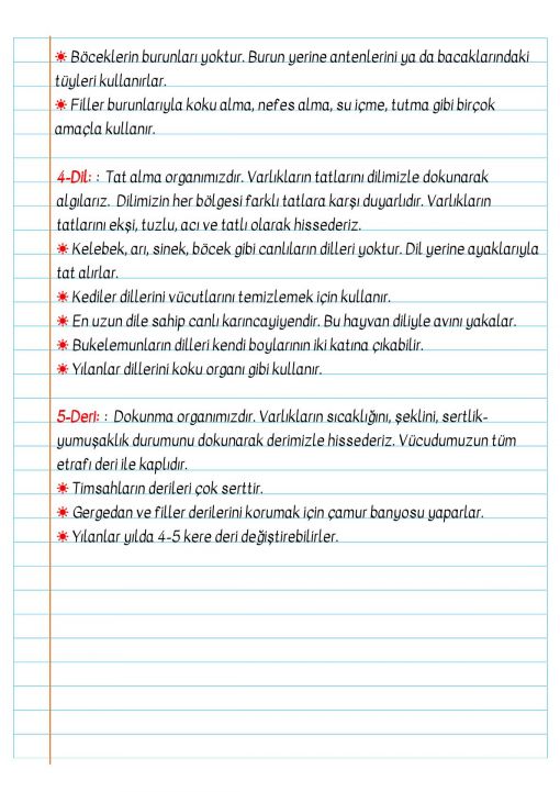  3.Sınıf Duyu Organların İşlevleri Defter Notu