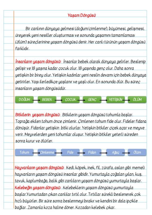  3.Sınıf Canlıların Yaşam Döngüsü