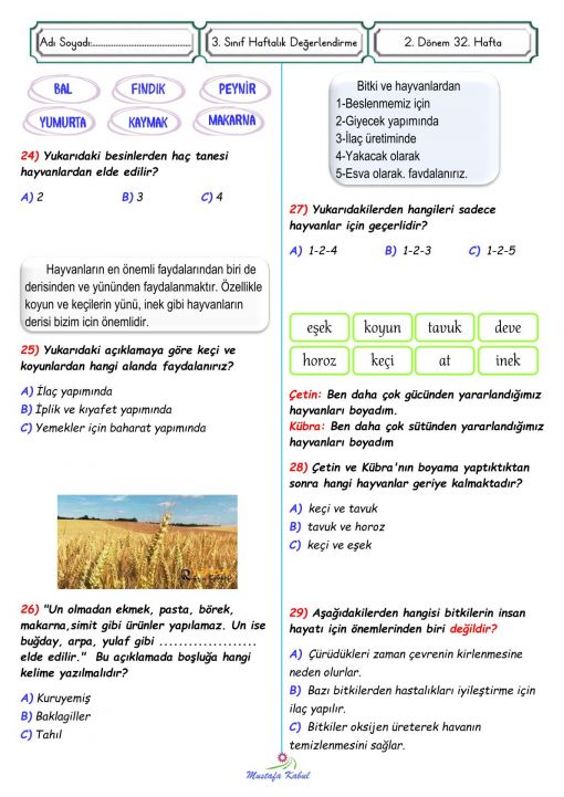  3.Sınıf Bitki ve Hayvanların Önemi