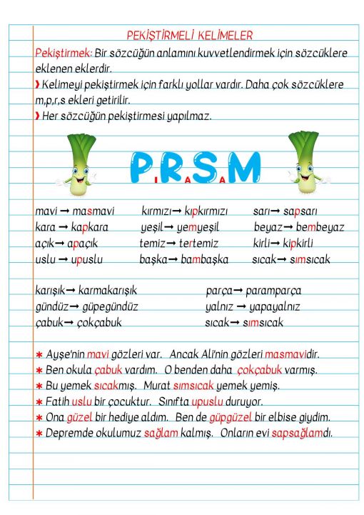 3.Sınıf Örneklendirme Defter Notu ve Konu Özeti