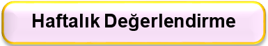  1.Sınıf Haftalık Değerlendirmeler