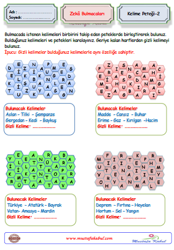   Zeka Bulmacaları Kelime Petek Bulmaca