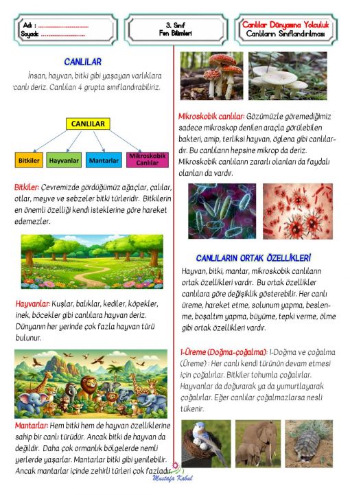  3.Sınıf Canlılar Dünyasına Yolculuk