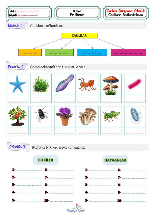  3.Sınıf Canlılar Dünyasına Yolculuk