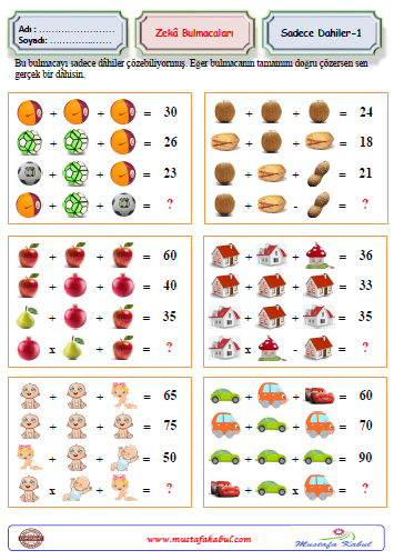   Zeka Bulmacaları Sadece Dahiler