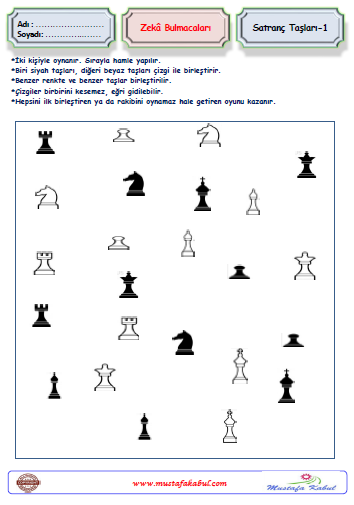   Zeka Bulmacaları Satranç Taşları